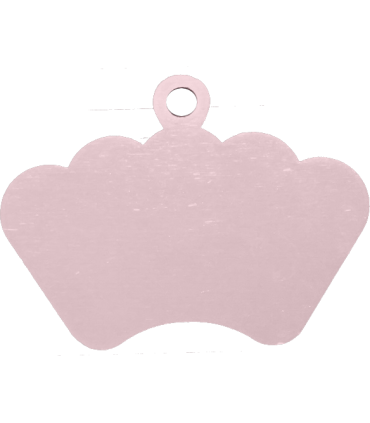 Chapa indentificativa de mascota