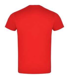 diseño clásico